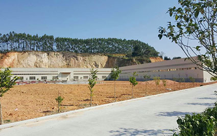 Fujian biomass pellet plant